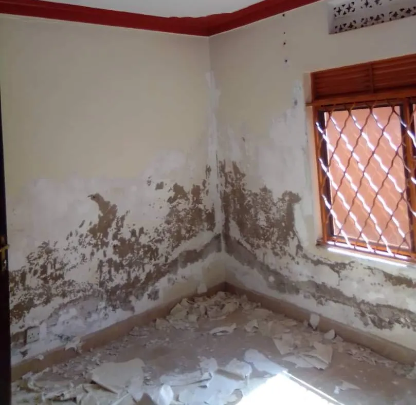 Rising damp and water damaged concrete floor waterproofing in Uganda